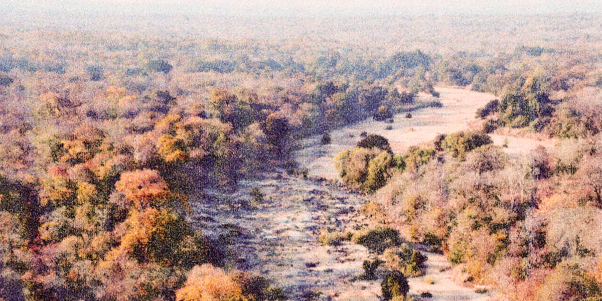 Belle de Niassa