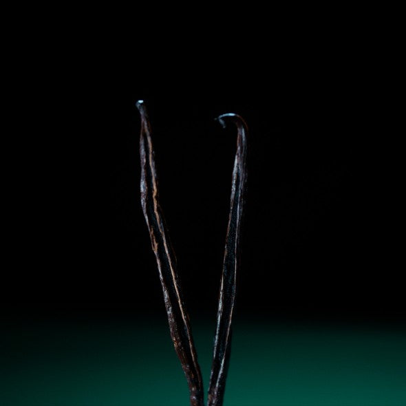 <p>The vanilla</p>