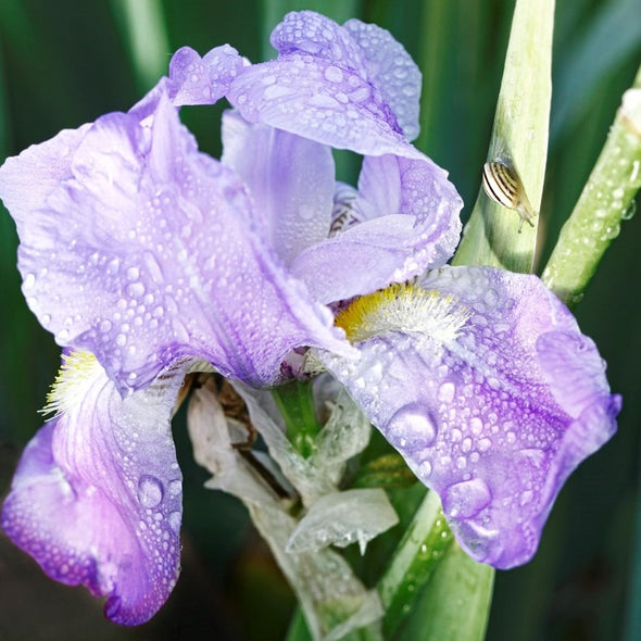 <p>Des ingrédients éco-sourcés</p>