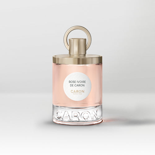 Rose Ivoire De Caron