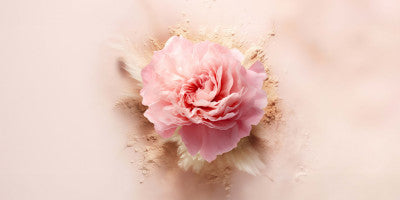 The Rose Fragrance
